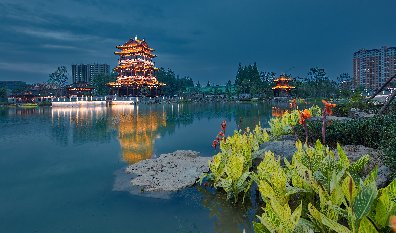 摯湖公園夜景