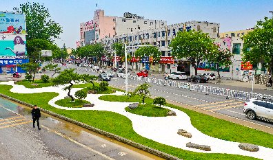 平輿解放路街頭景觀(guān)